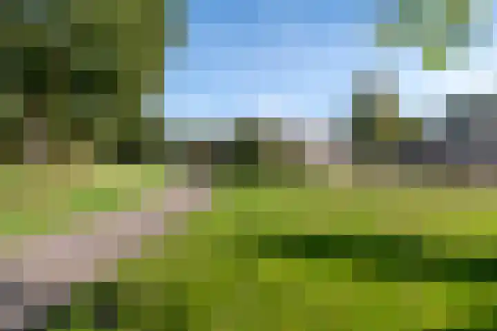Hesselterbrink 77 Emmen thumbnail 35