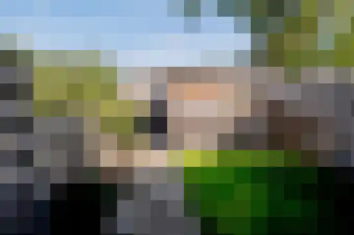 Hesselterbrink 77 Emmen thumbnail 7
