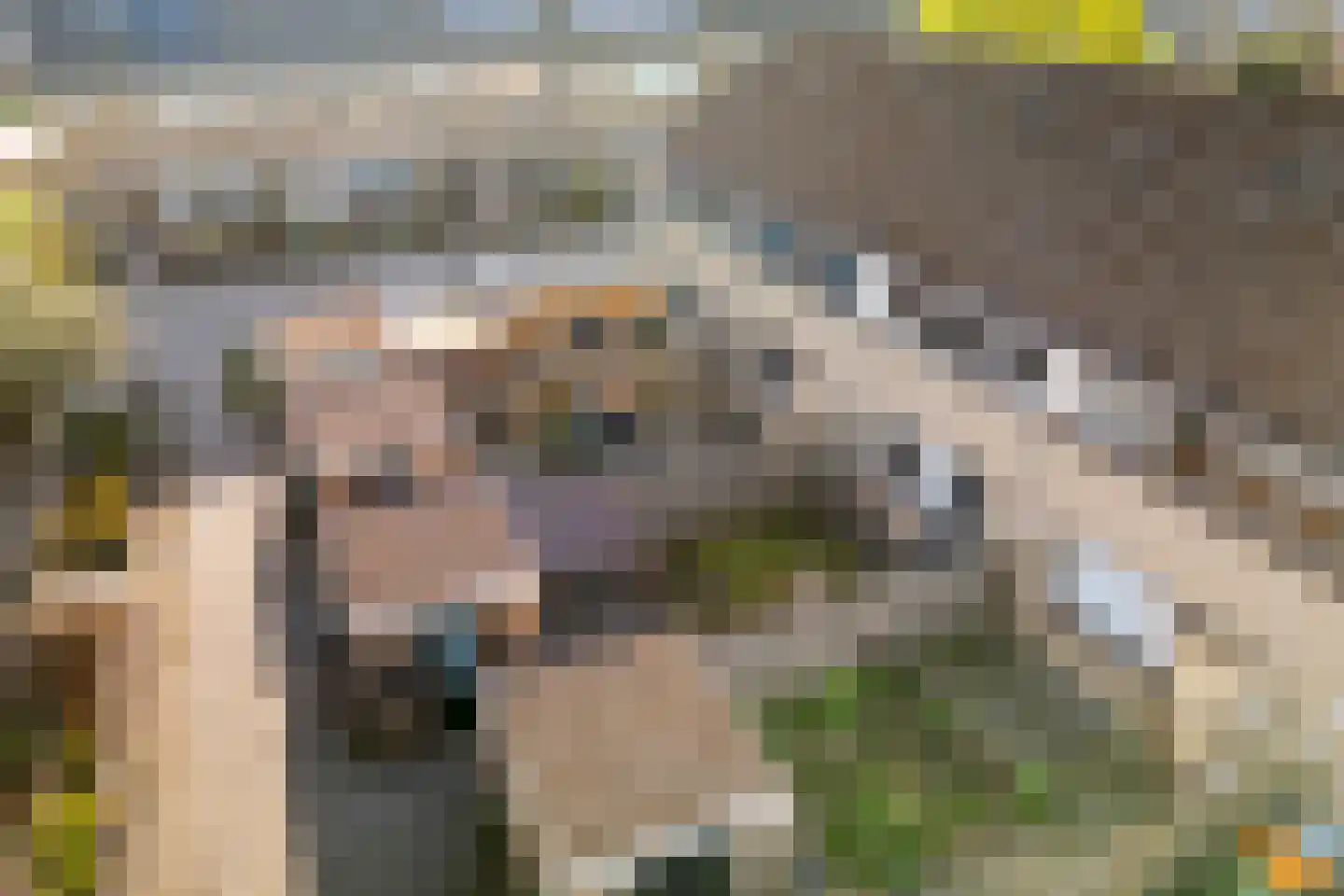 Hesselterbrink 80 Emmen thumbnail 37
