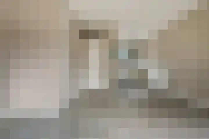Hesselterbrink 82 Emmen thumbnail 10