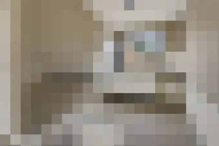 Hesselterbrink 82 Emmen thumbnail 11