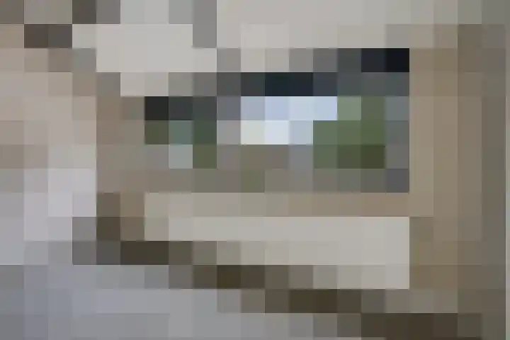 Hesselterbrink 82 Emmen thumbnail 17
