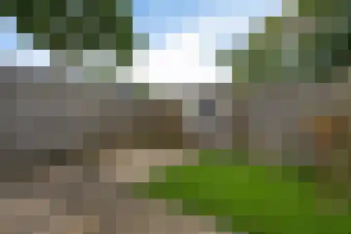 Hesselterbrink 82 Emmen thumbnail 29