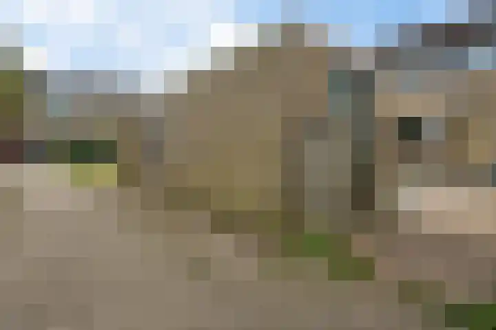 Hesselterbrink 82 Emmen thumbnail 35