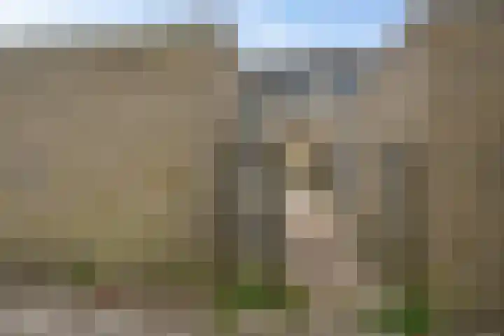 Hesselterbrink 82 Emmen thumbnail 36