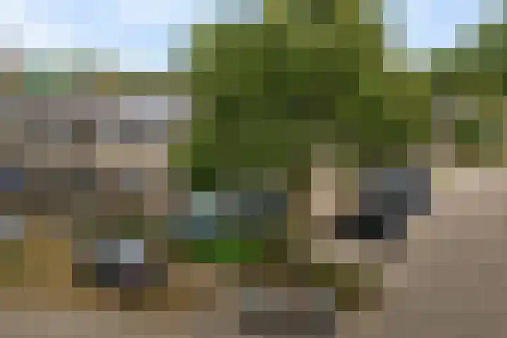 Hesselterbrink 82 Emmen thumbnail 43