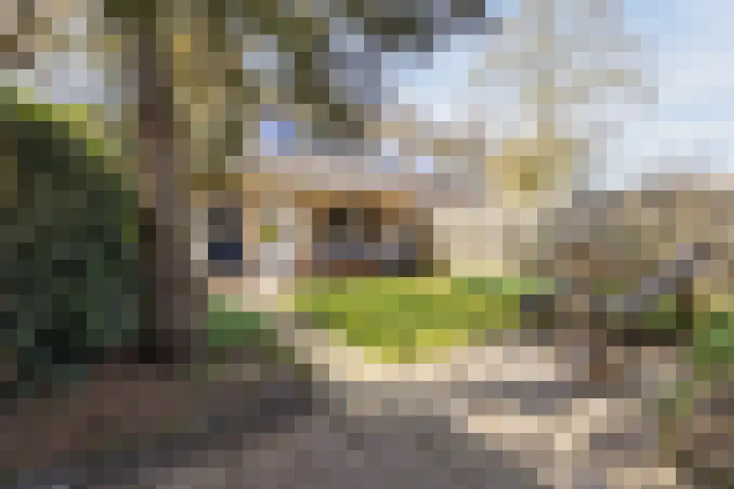Hesselterweg 44 Meppel thumbnail 29