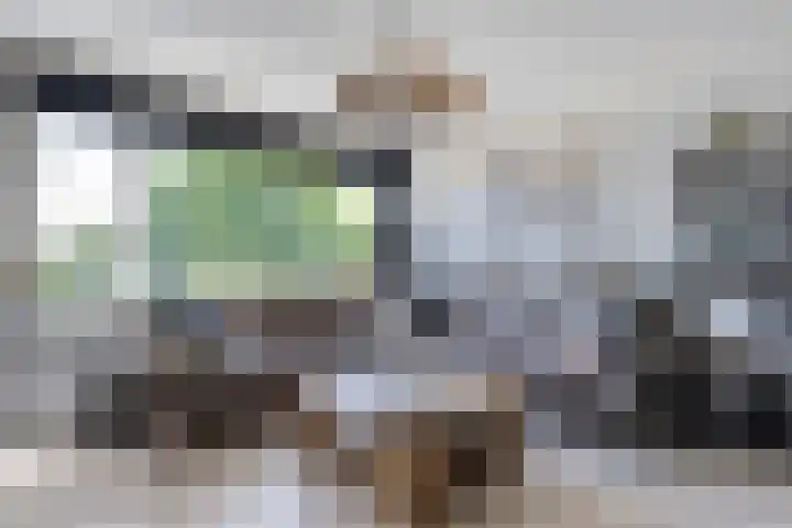 Hesselterweg 51 Meppel thumbnail 4