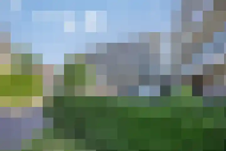 Hesselterweg 53 Meppel thumbnail 32
