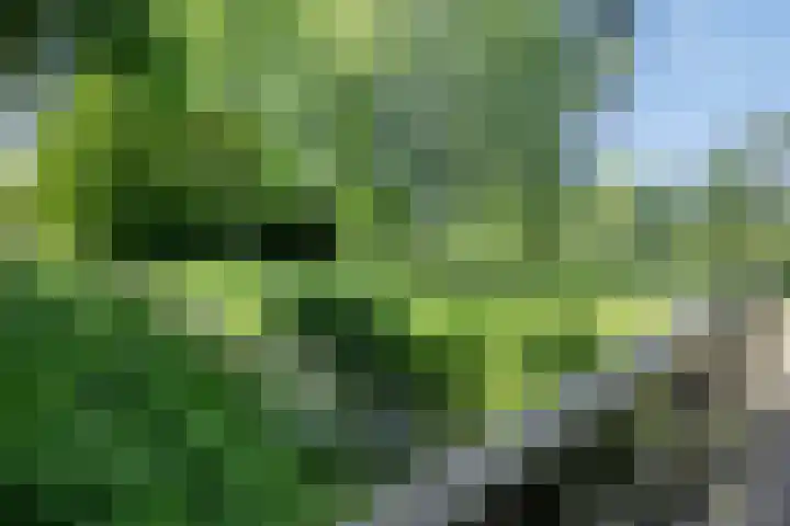 Hesselterweg 53 Meppel thumbnail 36