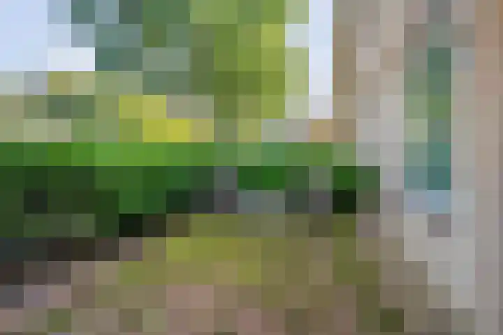 Hesselterweg 70 Meppel thumbnail 26