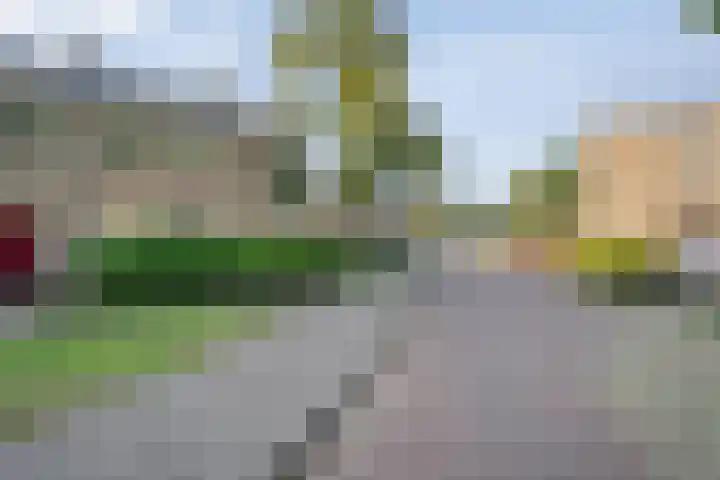 Hesselterweg 70 Meppel thumbnail 29
