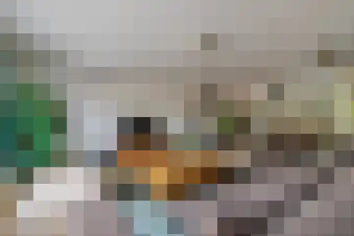 Hessen 1 Zevenaar thumbnail 10