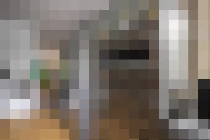 Hessen 1 Zevenaar thumbnail 13