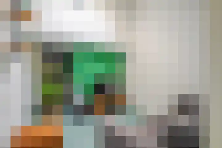 Hessen 1 Zevenaar thumbnail 17