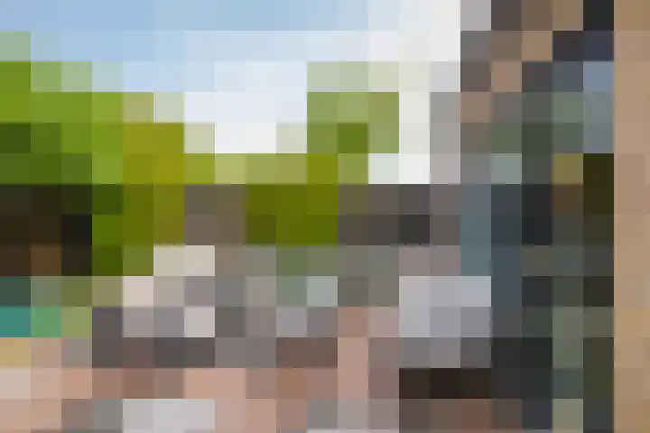 Hessen 1 Zevenaar thumbnail 18