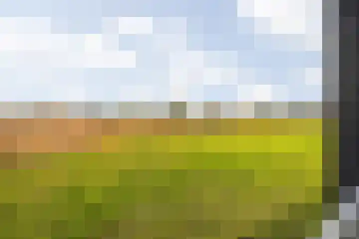 Hessen 1 Zevenaar thumbnail 22