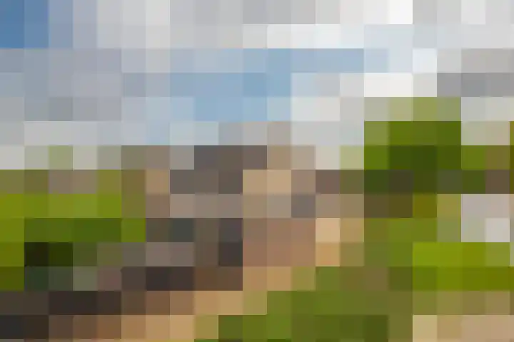 Hessen 1 Zevenaar thumbnail 5