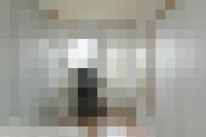 Hessen 1 Zevenaar thumbnail 6