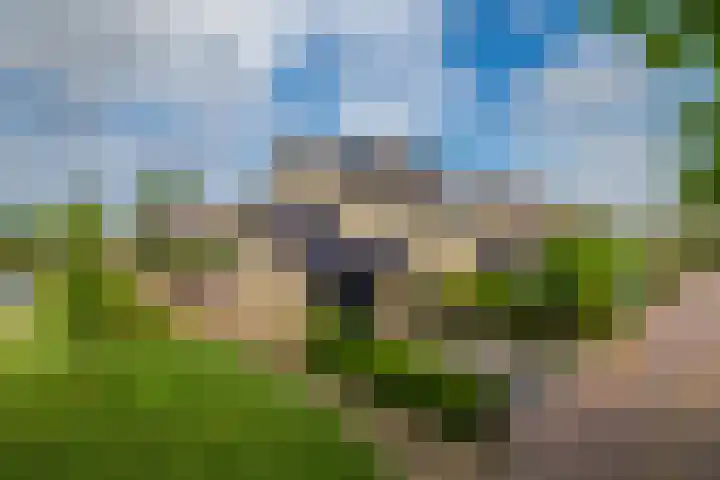 Hessen 1 Zevenaar thumbnail 6