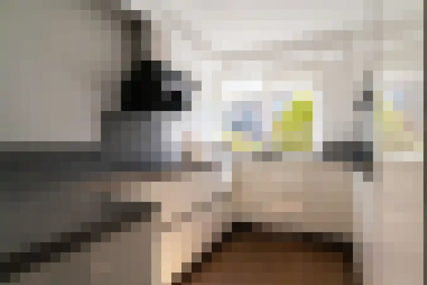 Hessen 9 Zevenaar thumbnail 12