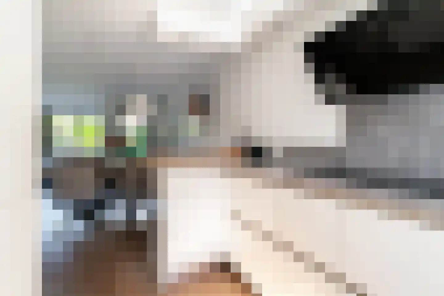 Hessen 9 Zevenaar thumbnail 14