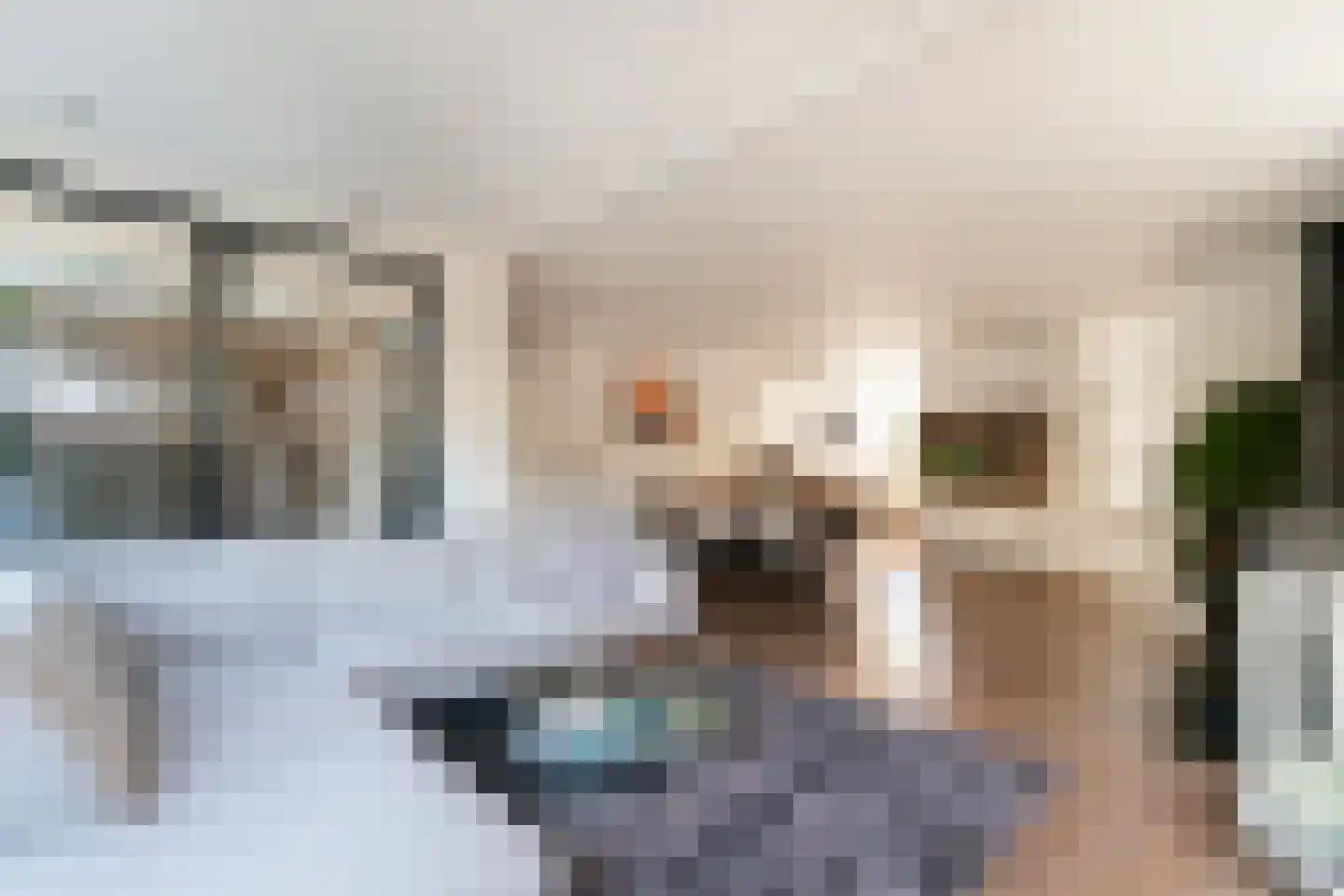 Hessen 9 Zevenaar thumbnail 19