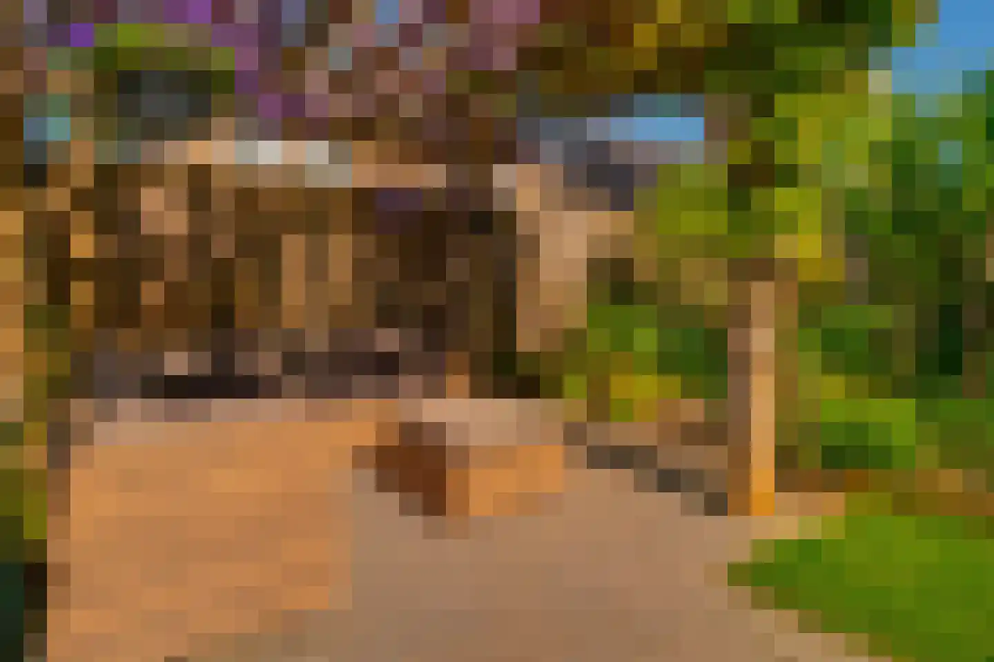 Hessen 9 Zevenaar thumbnail 30