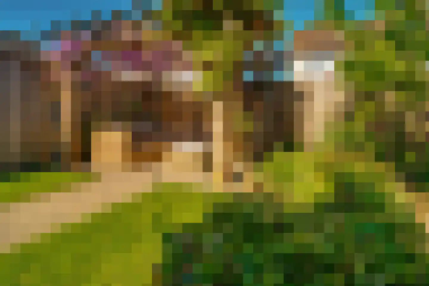Hessen 9 Zevenaar thumbnail 31