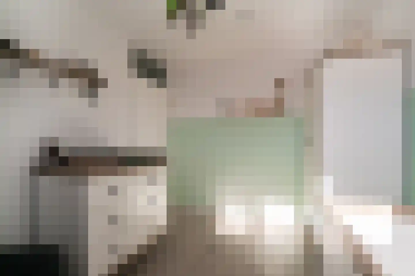 Hessen 9 Zevenaar thumbnail 47