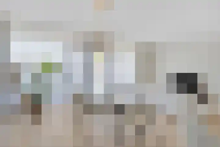Hessen Kasselstraat 6 A Eindhoven thumbnail 17