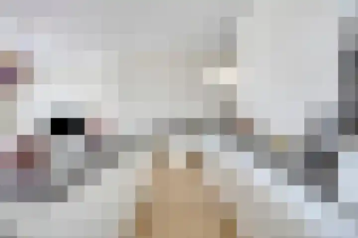 Hessen Kasselstraat 6 A Eindhoven thumbnail 22