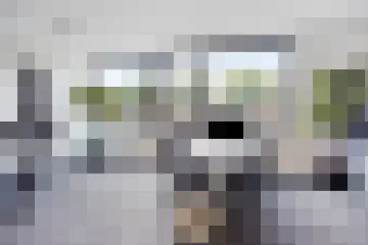 Hessen Kasselstraat 6 A Eindhoven thumbnail 5