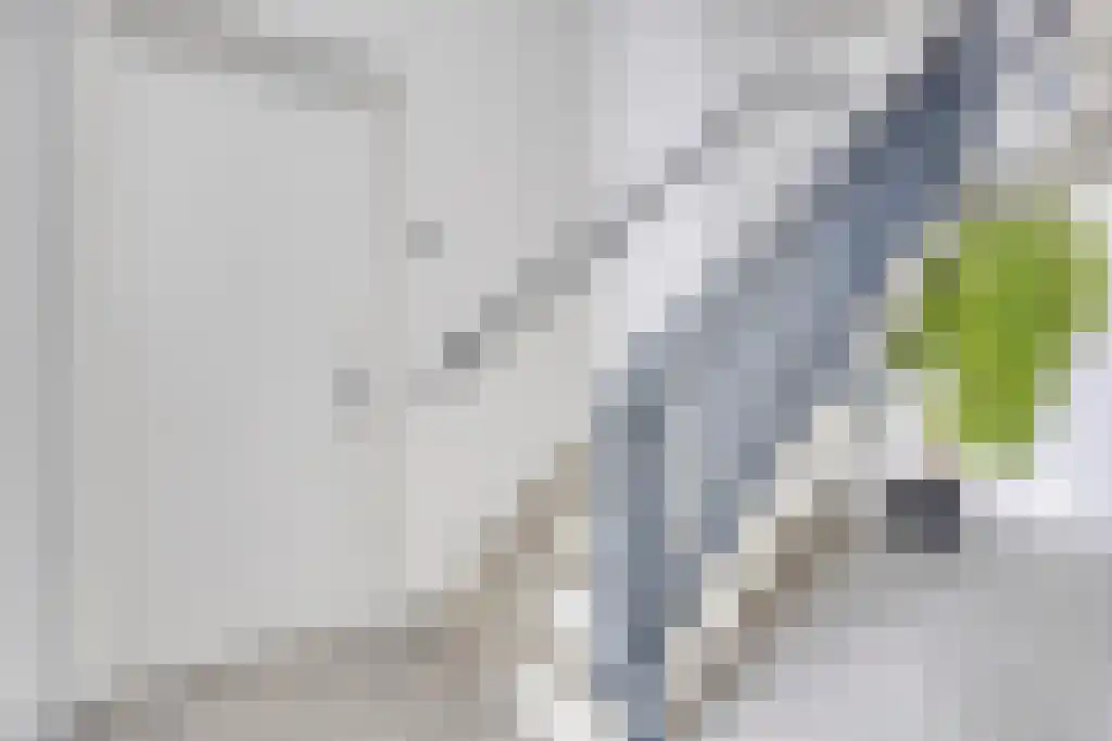 Hessen Kasselstraat 6 C Eindhoven thumbnail 8