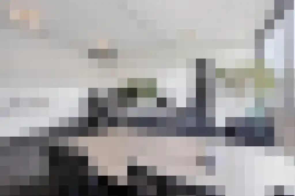 Hessen Kasselstraat 6 C Eindhoven thumbnail 9