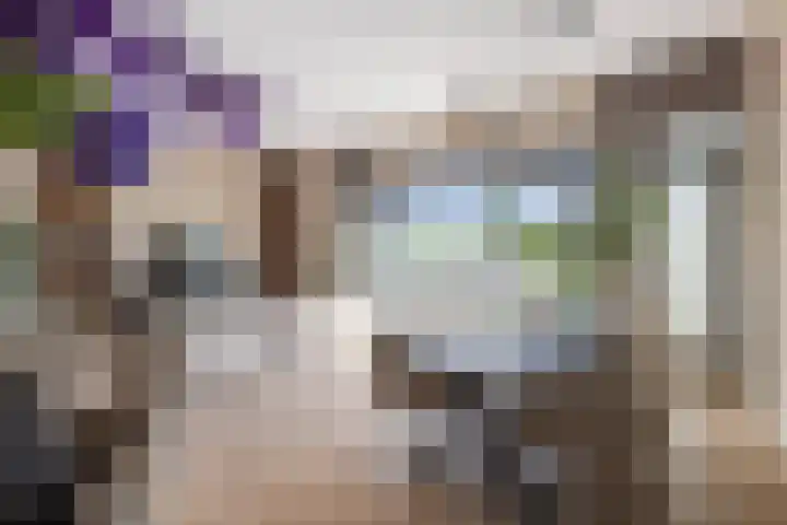 Hessen Kasselstraat 6 F Eindhoven thumbnail 11