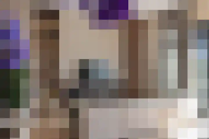 Hessen Kasselstraat 6 F Eindhoven thumbnail 12