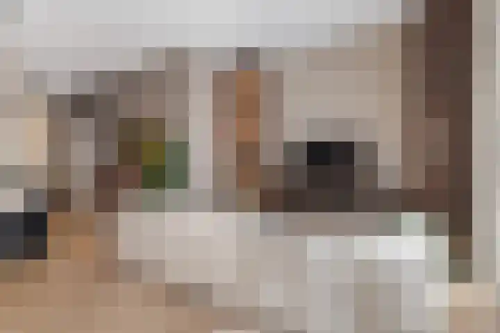 Hessen Kasselstraat 6 F Eindhoven thumbnail 17