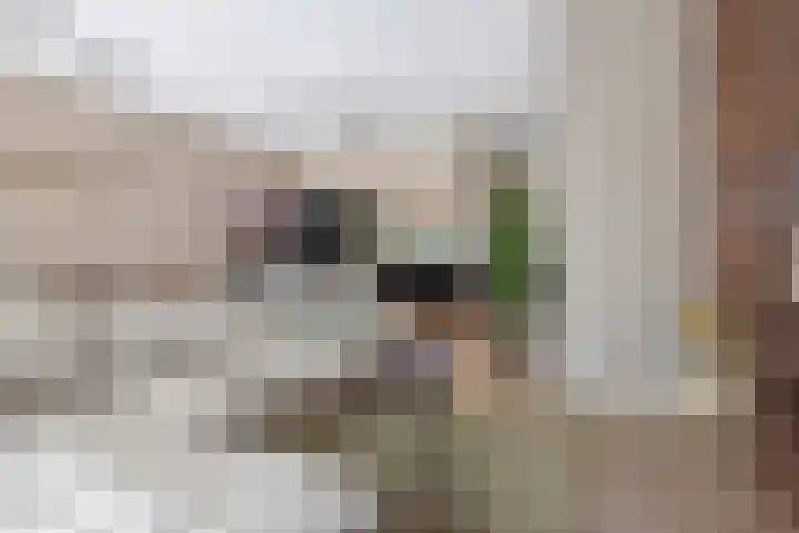 Hessen Kasselstraat 6 F Eindhoven thumbnail 18