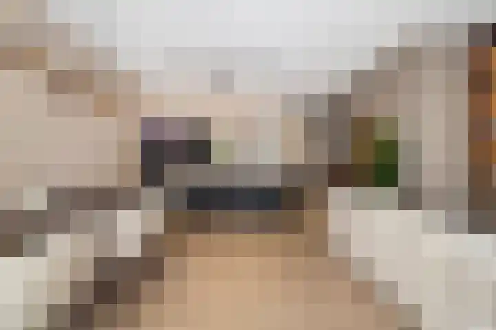 Hessen Kasselstraat 6 F Eindhoven thumbnail 28