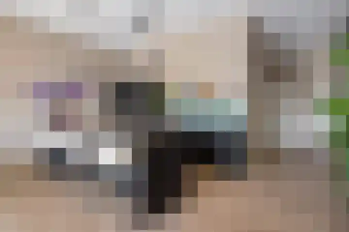 Hessen Kasselstraat 6 F Eindhoven thumbnail 30