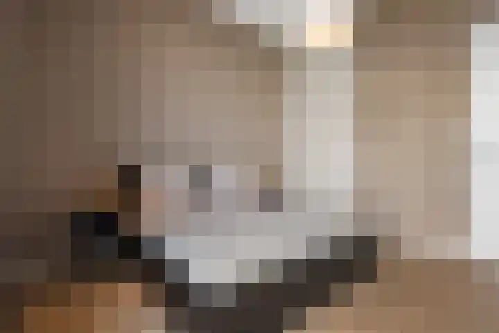 Hessen Kasselstraat 6 F Eindhoven thumbnail 38