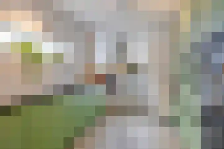 Hessenberg 27 Nijmegen thumbnail 12