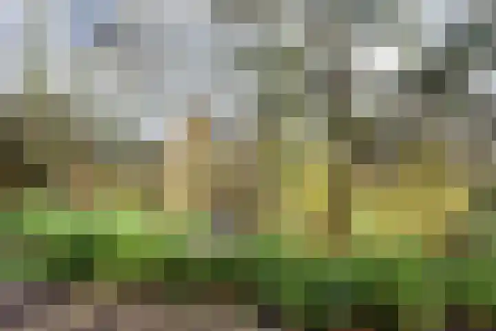 Hessenberg 35 Nijmegen thumbnail 21