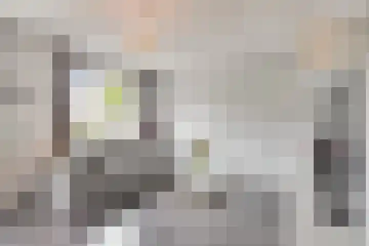 Hessenbergstraat 13 b Zetten thumbnail 12