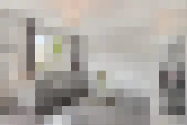 Hessenbergstraat 13 b Zetten thumbnail 13