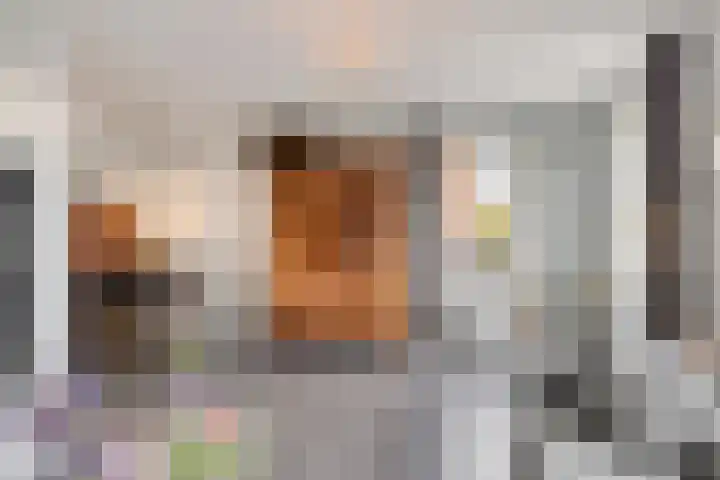 Hessenbergstraat 13 b Zetten thumbnail 15