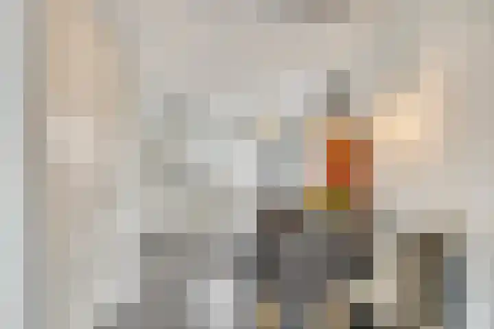 Hessenbergstraat 13 b Zetten thumbnail 17