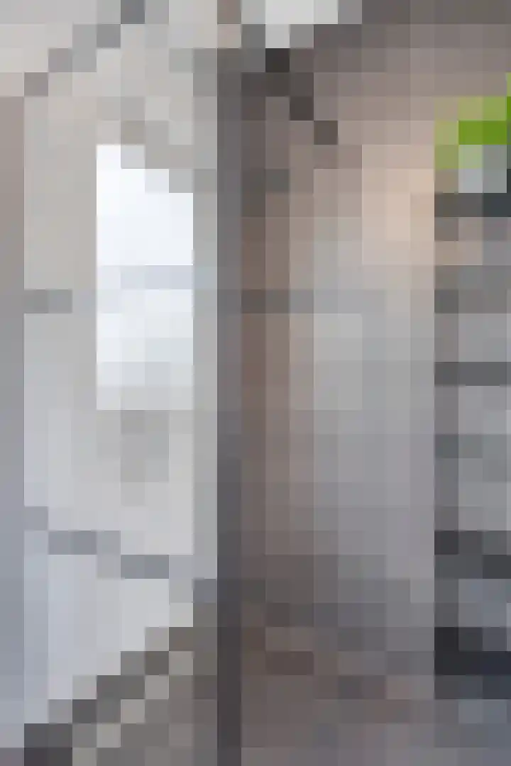 Hessenbergstraat 13 b Zetten thumbnail 33