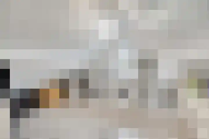Hessenbergstraat 13 b Zetten thumbnail 34